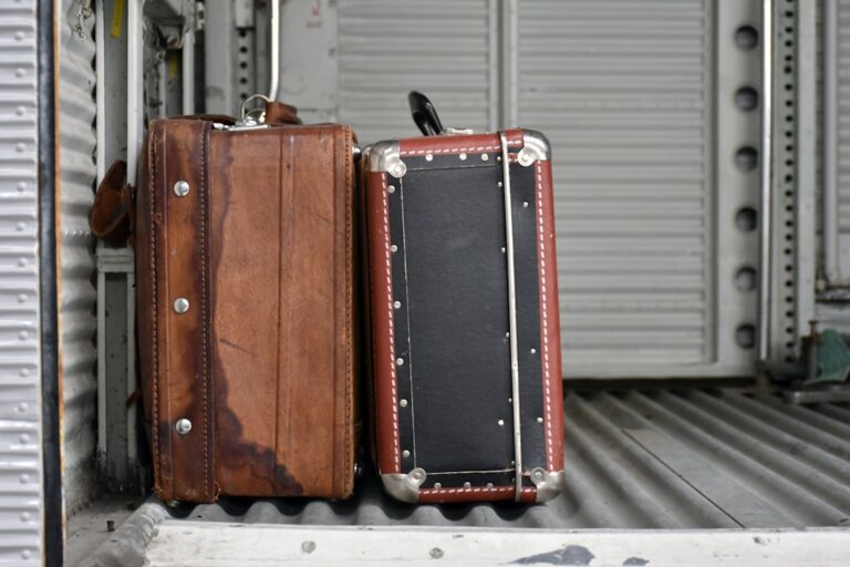 Pack Like a Pro: Tips for Efficient Travel Packing